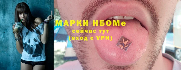 PSILOCYBIN Алзамай
