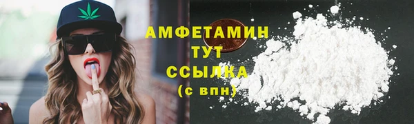 PSILOCYBIN Алзамай