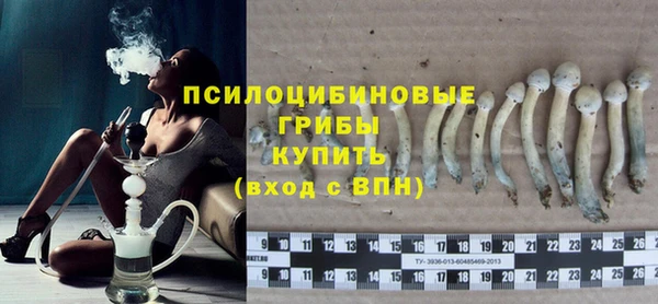 прущие грибы Алексеевка