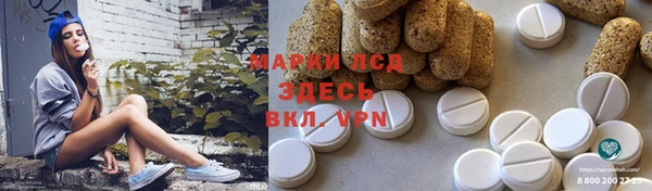 прущие грибы Алексеевка