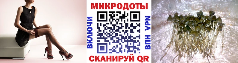 Псилоцибиновые грибы мицелий  Барабинск 